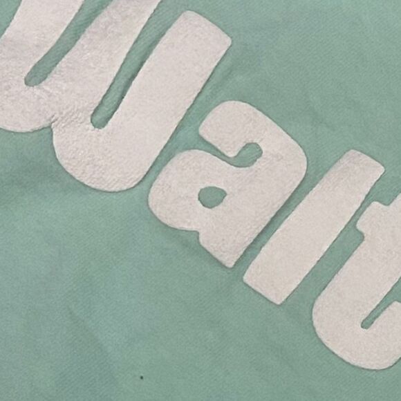 Walt Disney World Spirit Jersey - Picture 7 of 13